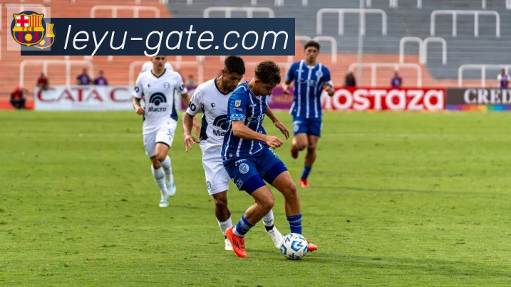 App Interface Preview