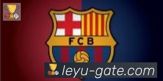 乐鱼leyu合作伙伴