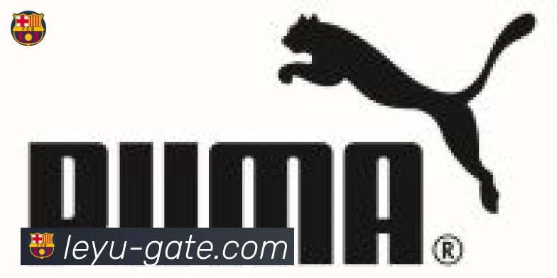 乐鱼leyu合作伙伴